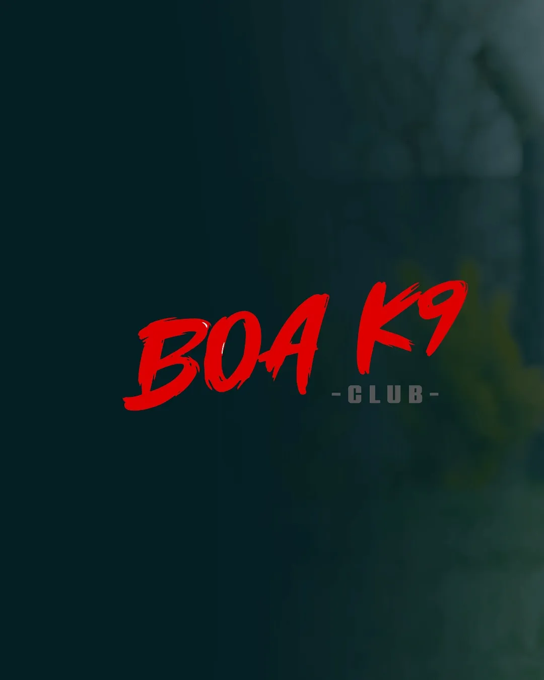 Boa K9
